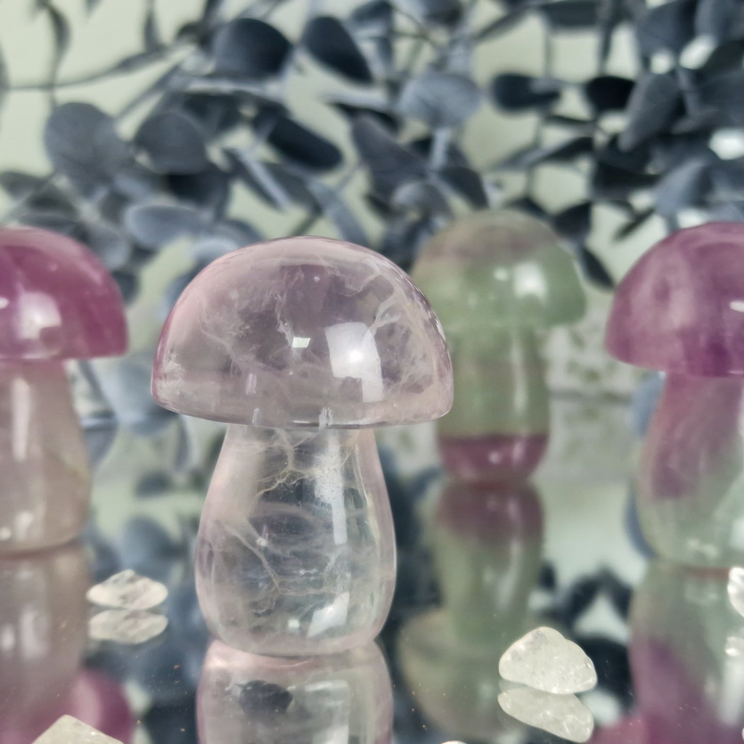 Fluorit-Mystery-Pilze