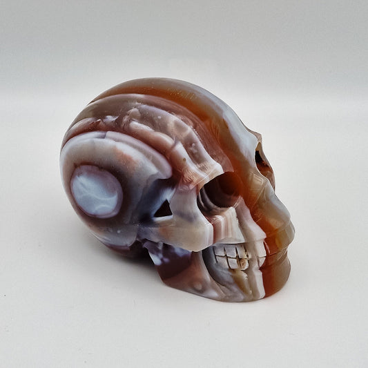 Botswana Achat Totenkopf