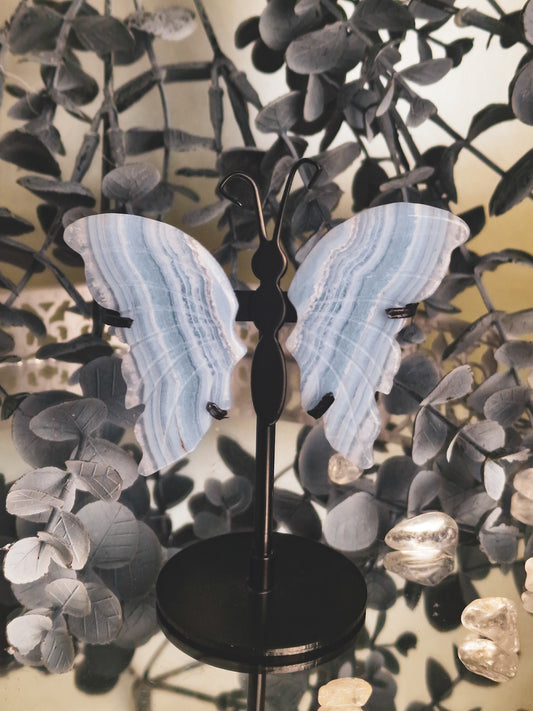 Schmetterling aus Blue Lace Agate