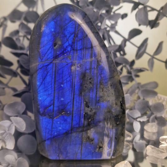 Blaue Labradorit Freiform