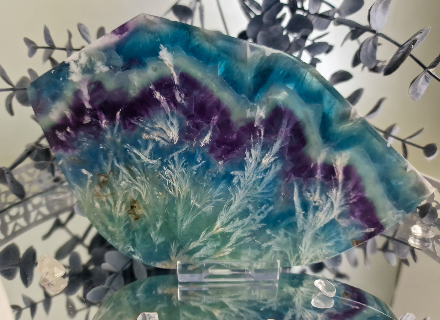 Federfluorit Scheibe