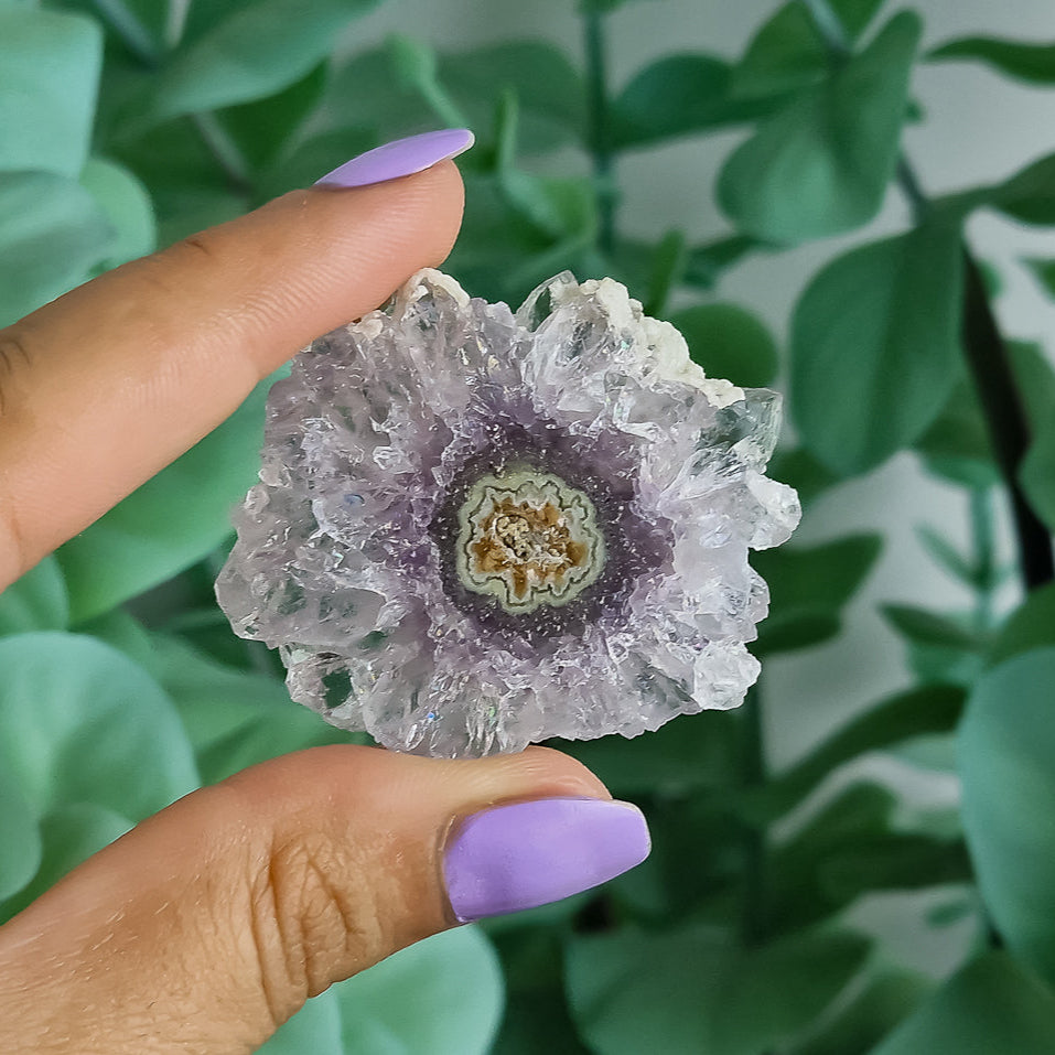 Stalaktiten aus Uruguay