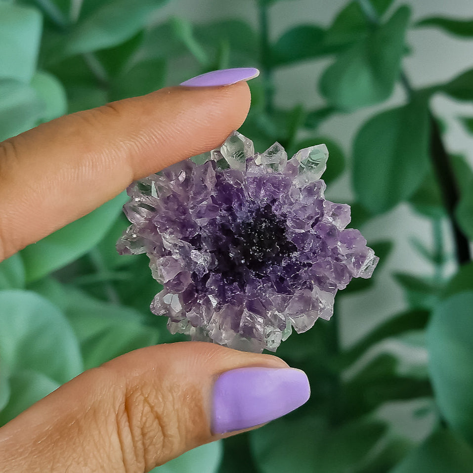 Stalaktiten aus Uruguay