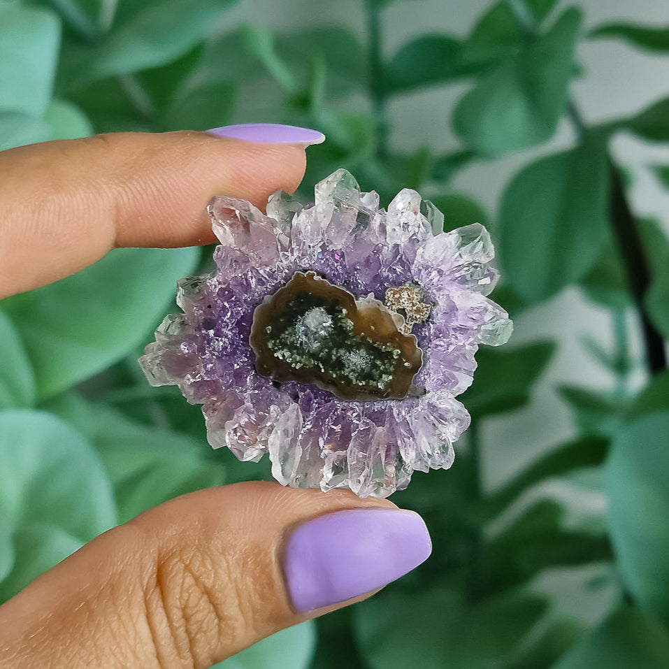 Stalaktiten aus Uruguay