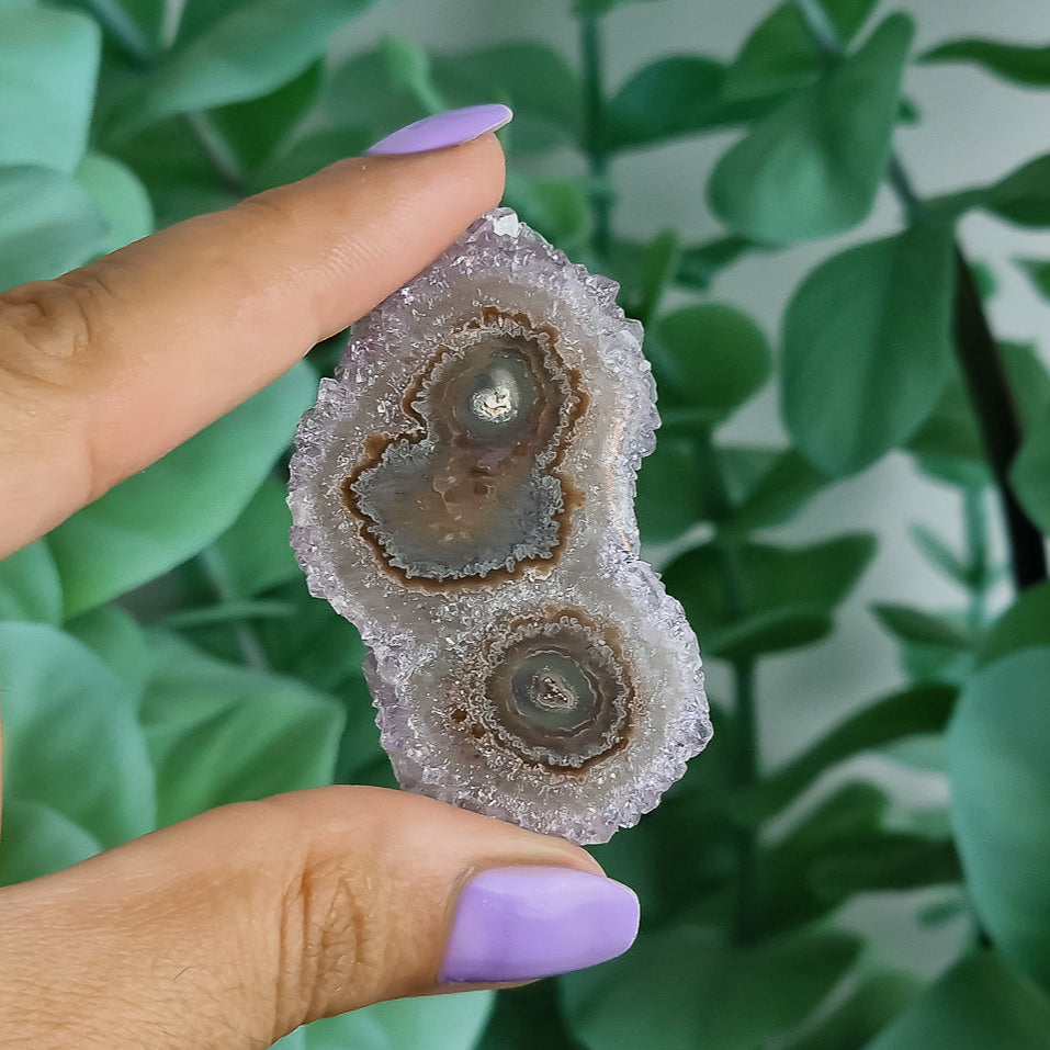 Stalaktiten aus Uruguay