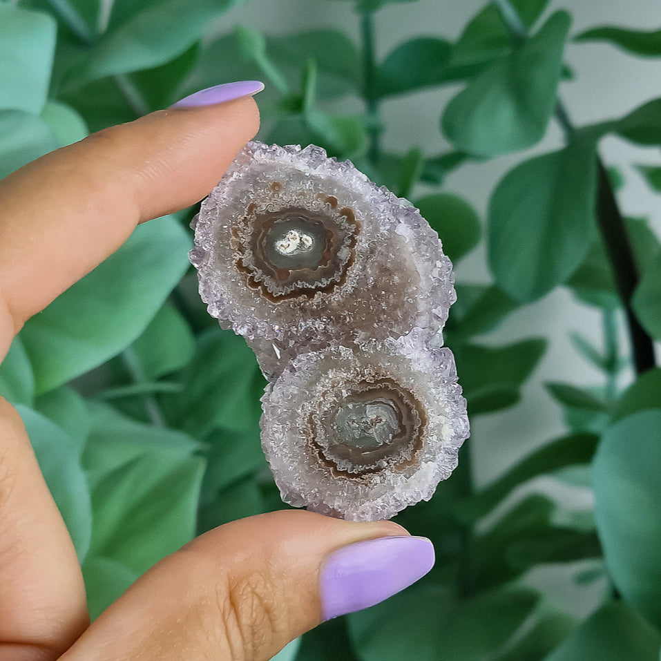 Stalaktiten aus Uruguay