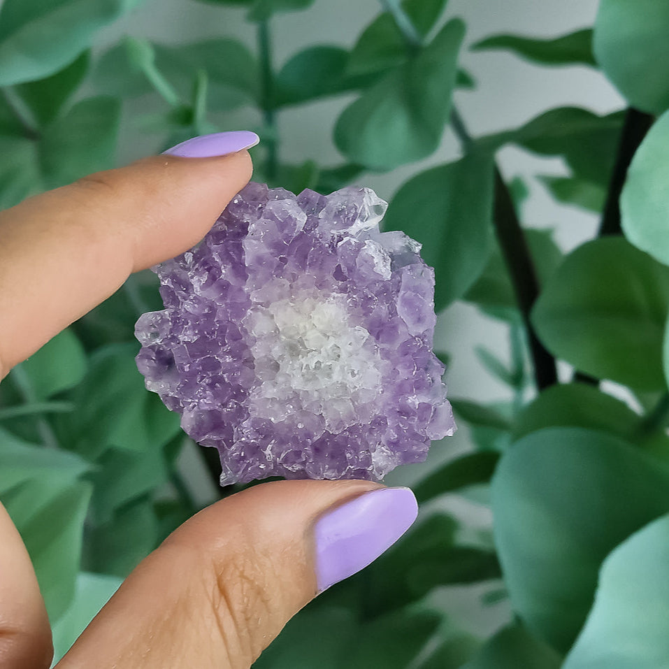 Stalaktiten aus Uruguay