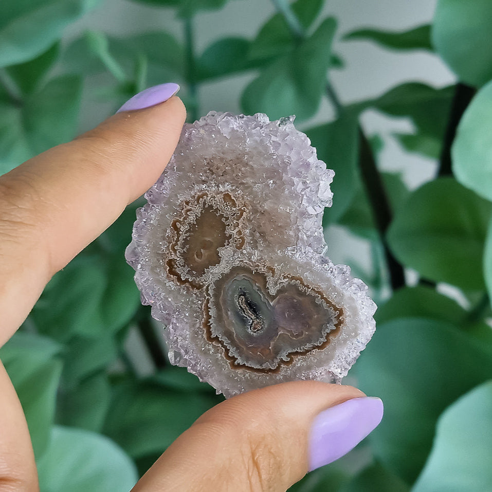 Stalaktiten aus Uruguay