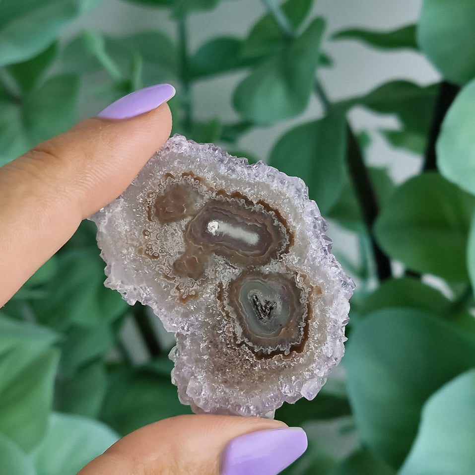 Stalaktiten aus Uruguay