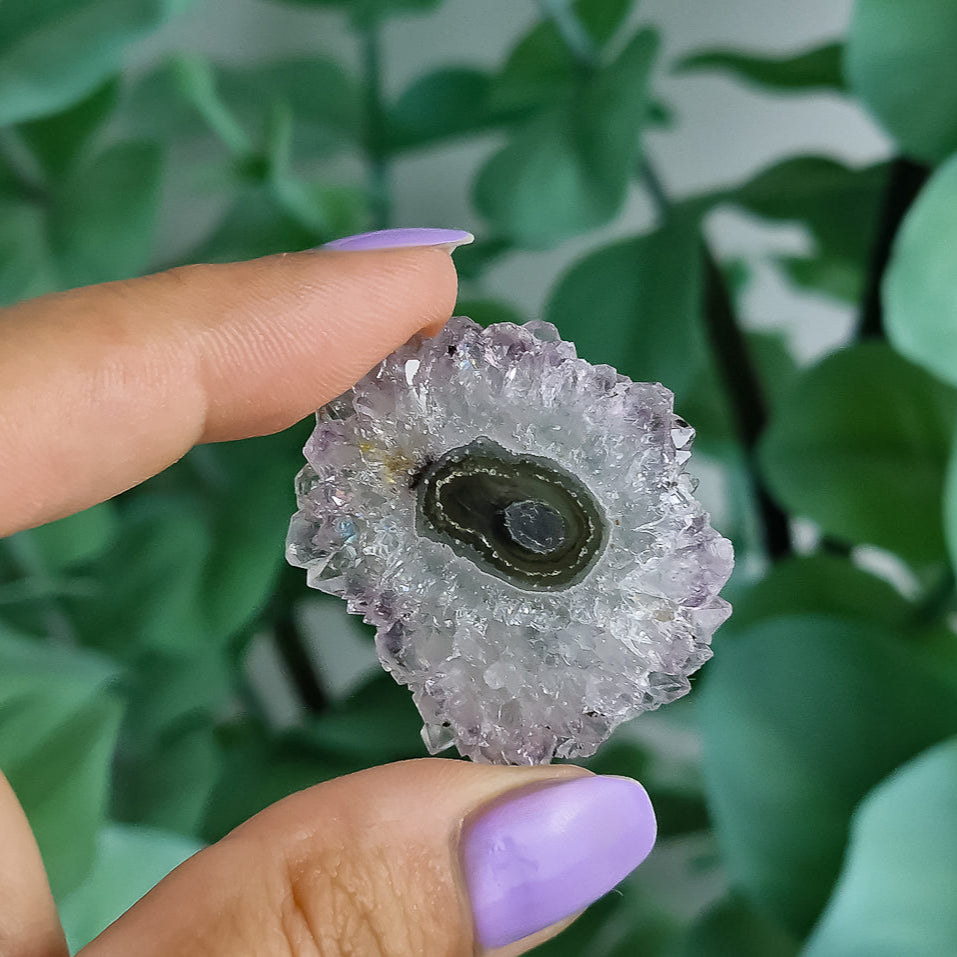 Stalaktiten aus Uruguay