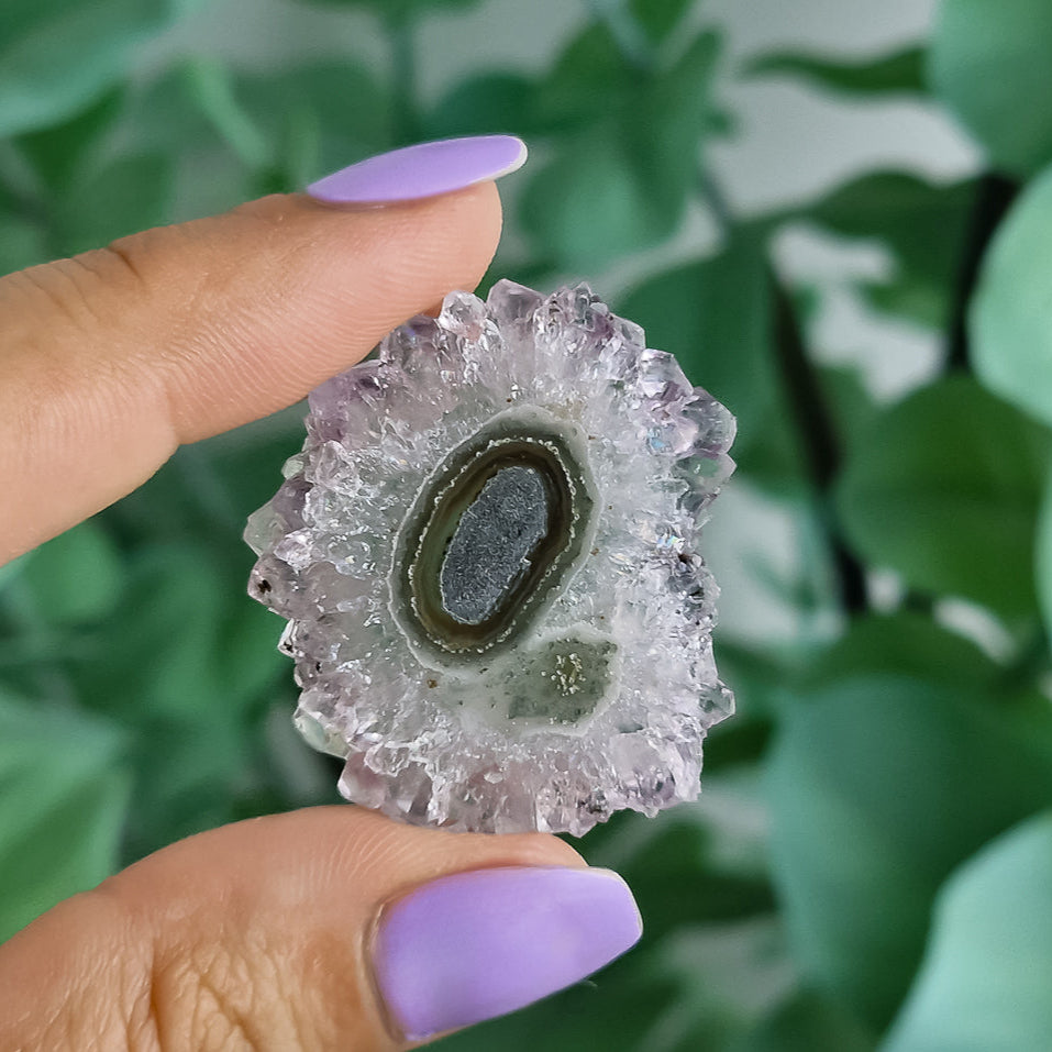 Stalaktiten aus Uruguay