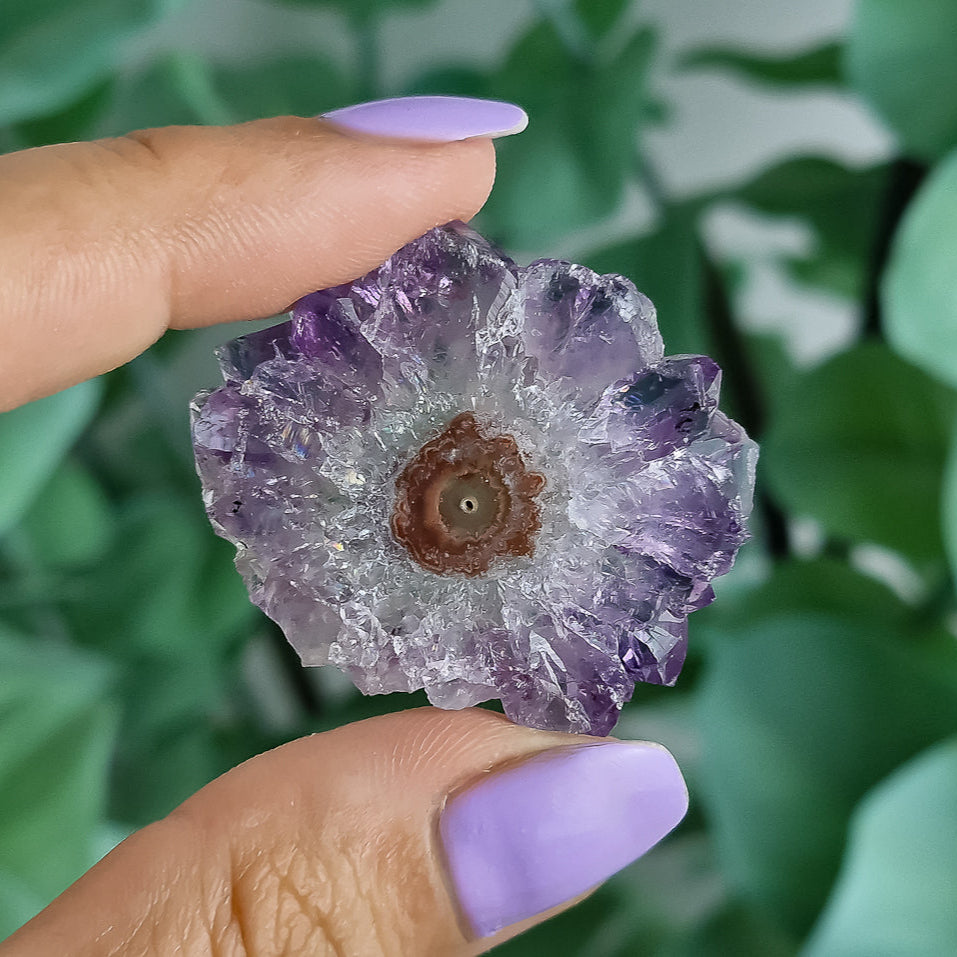 Stalaktiten aus Uruguay