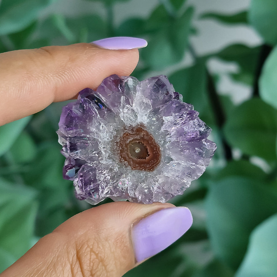 Stalaktiten aus Uruguay