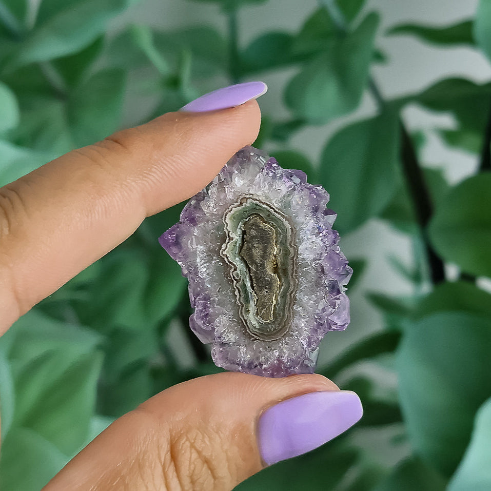 Stalaktiten aus Uruguay