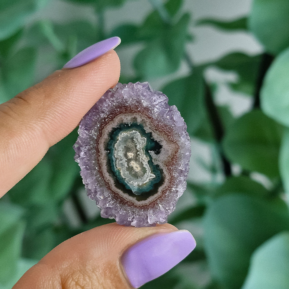 Stalaktiten aus Uruguay