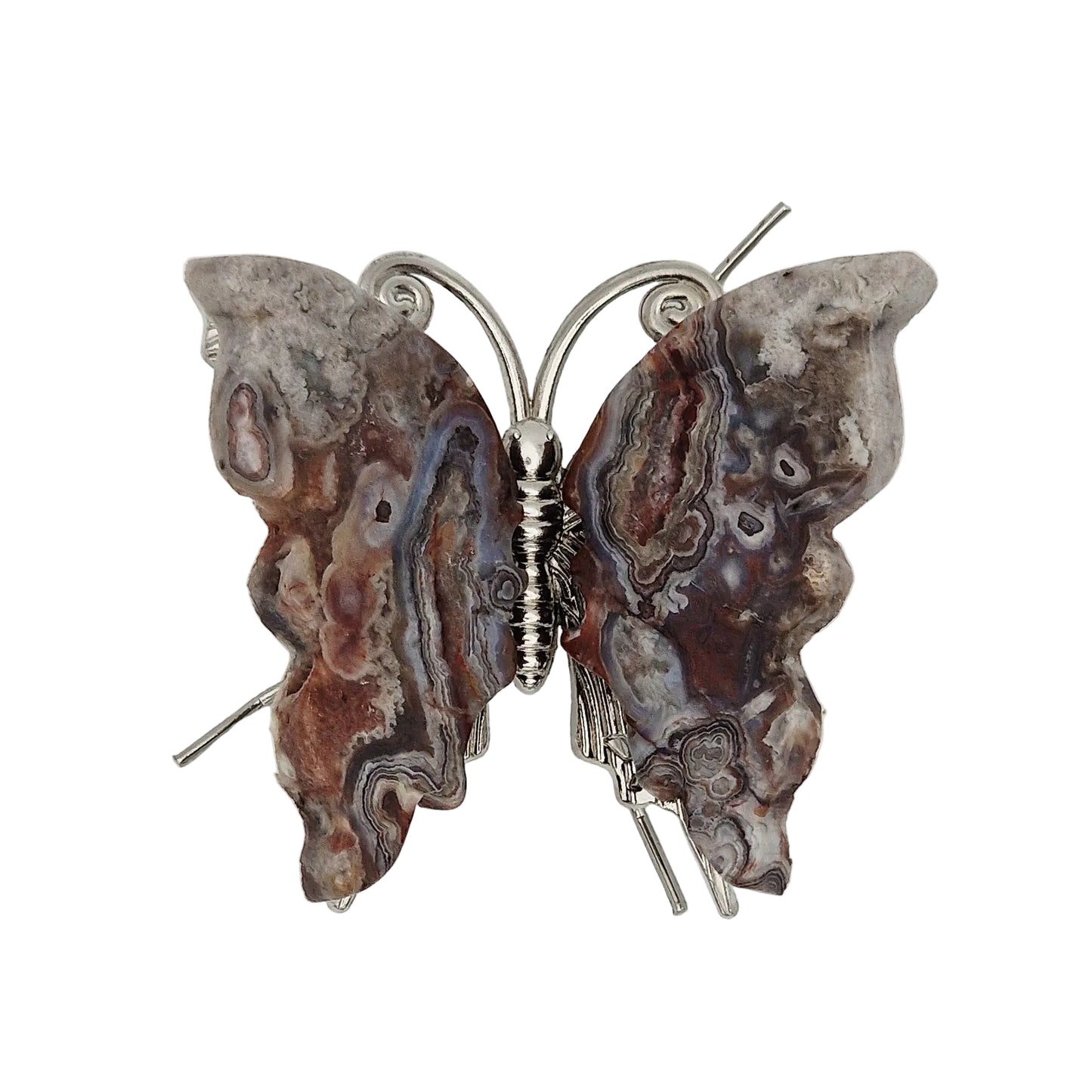 Schmetterlinge